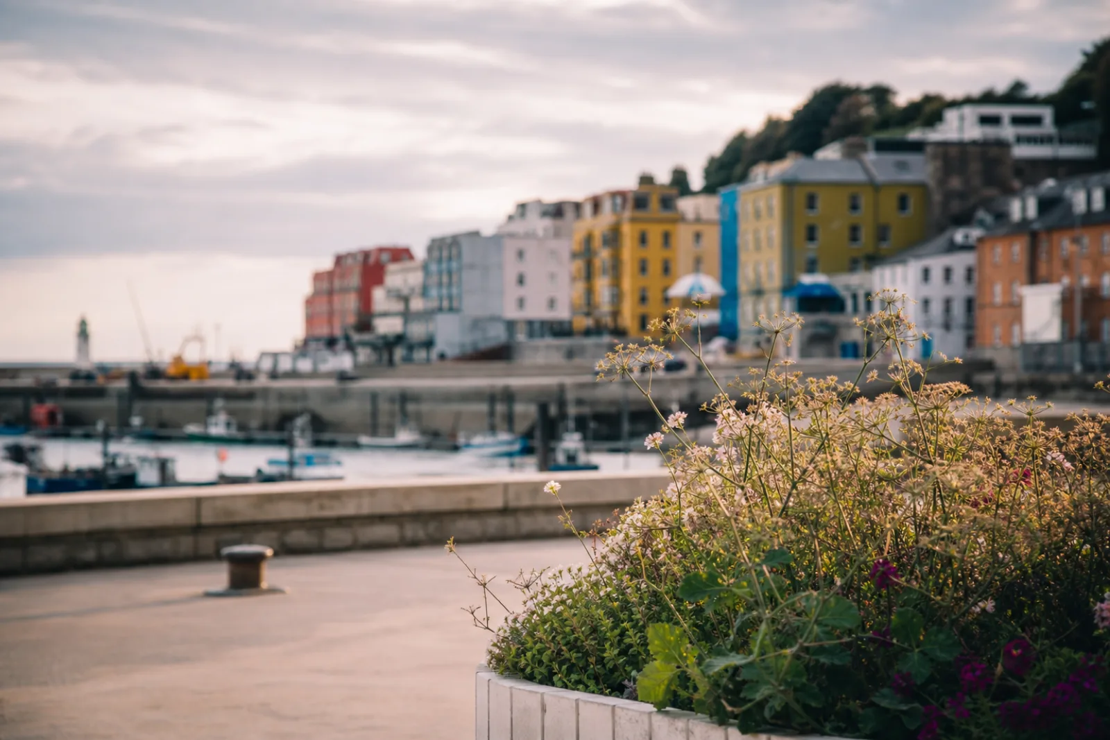 Colourful buildings above Folkestone harbour with fishing boats moored below